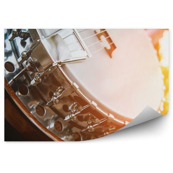 Papier peint Banjo argenté Couleurs