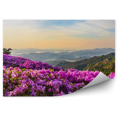 Papier peint Paysage de montagne et rhododendrons
