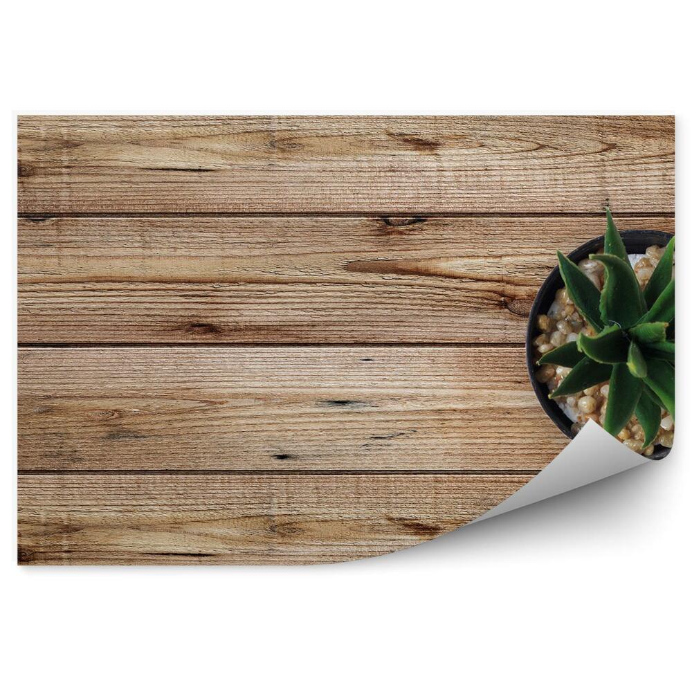 Papier peint Plancher en bois et pot de fleurs