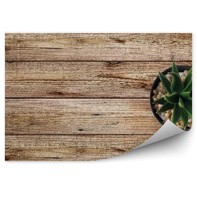 Papier peint Plancher en bois et pot de fleurs