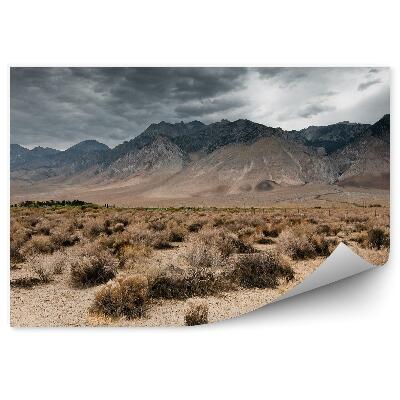 Papier peint Nuages Sombres Montagnes Nature Plage Ciel Nuages Vallée De La Mort