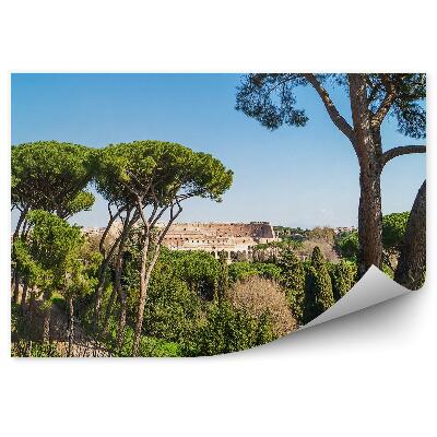 Papier peint Vue du Colisée Arbres Verdure Ciel Rome Italie Avenue