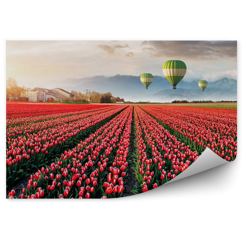 Papier peint Beau champ de tulipes rouges ciel nuages ballons montagne