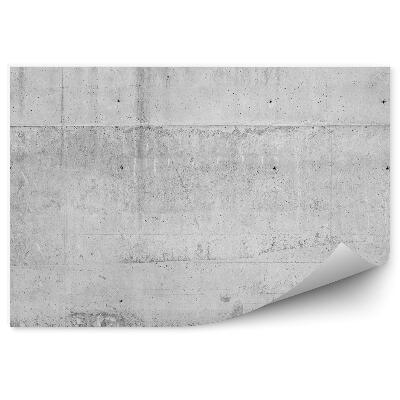 Papier peint Murs en béton