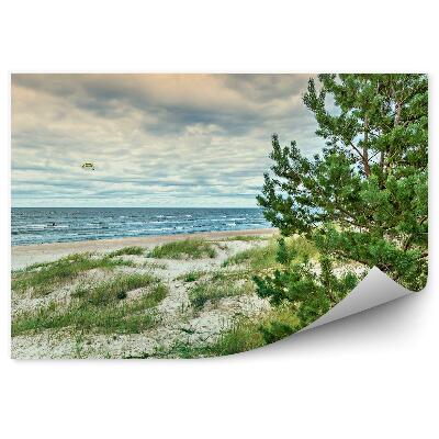 Papier peint Paysage Conifères Cerfs-Volants Océan Mer Ciel Herbe Coucher De Soleil