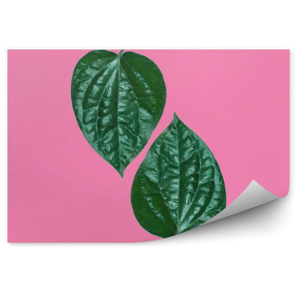 Papier peint Feuille tropicale verte sur fond rose