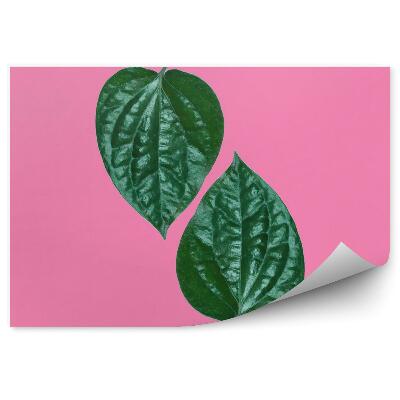 Papier peint Feuille tropicale verte sur fond rose