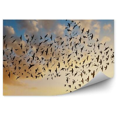 Papier peint Oiseaux Sur Fond De Soleil Couchant En Formation De Flèche