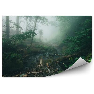 Papier peint Forêt De Pins Brumeuse