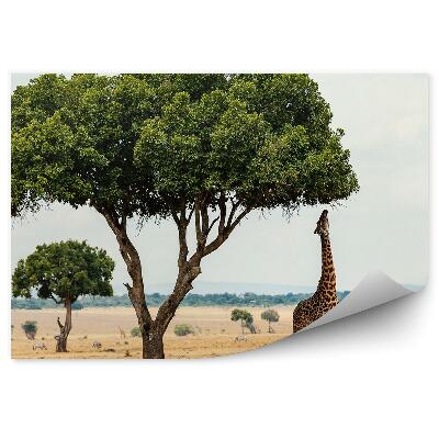 Papier peint Girafe Arbres Sawanna