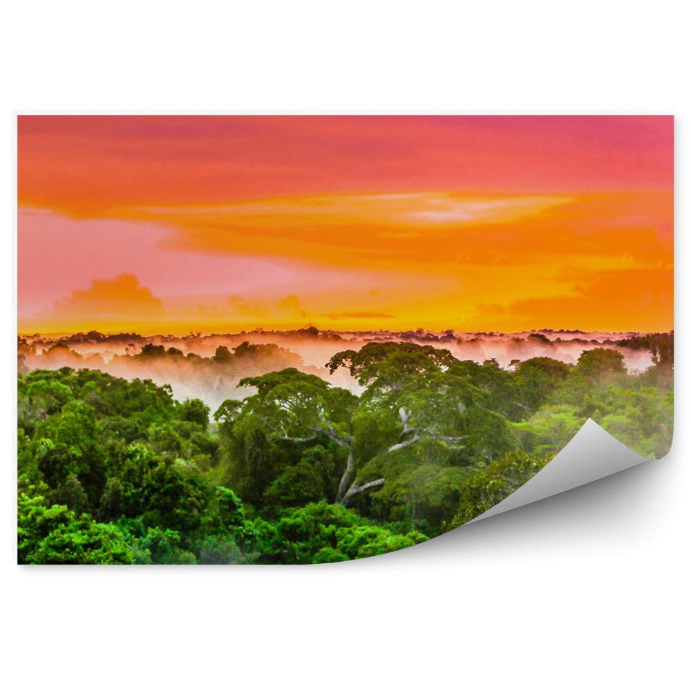 Papier peint Buisson De La Forêt Verte Soleil