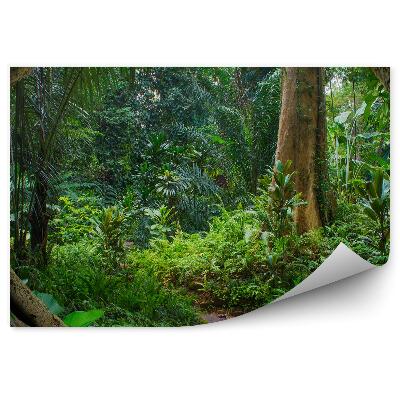 Papier peint Fougères de la jungle asiatique Branches d'arbres