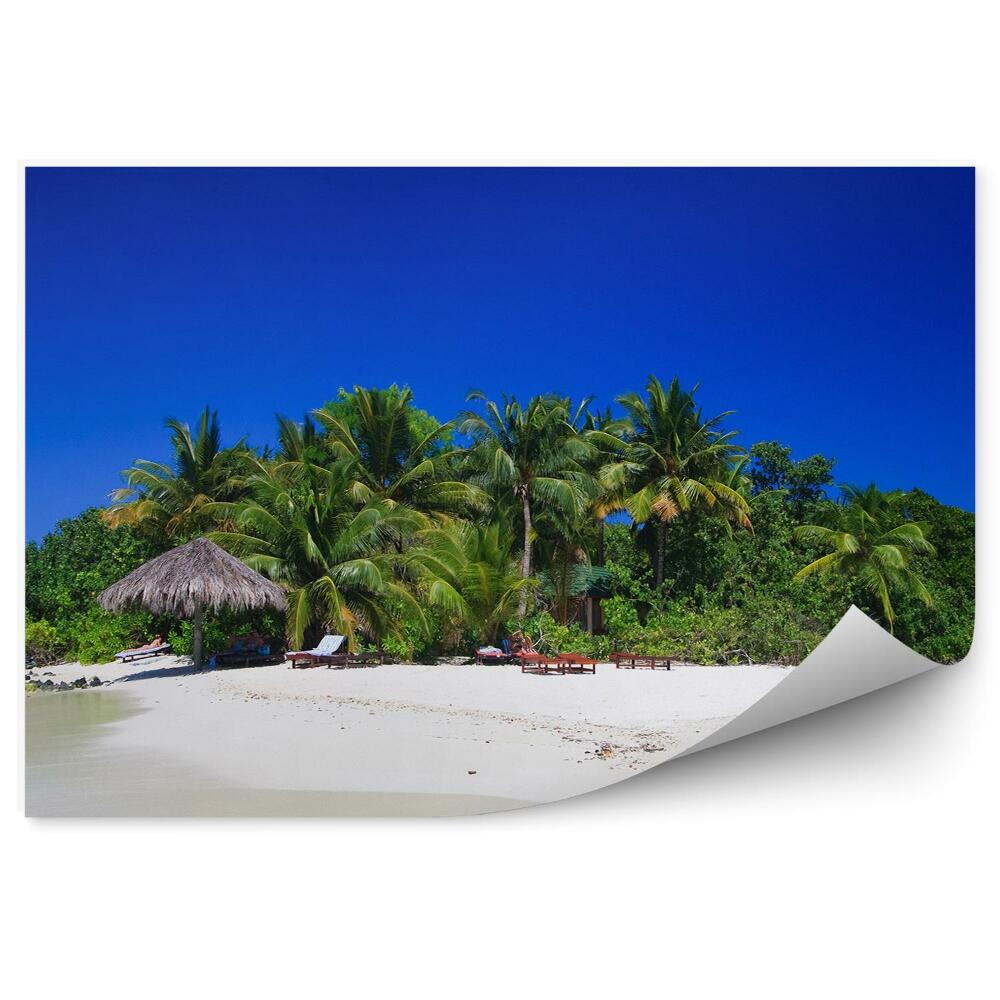 Papier peint Ile tropicale exotique palmiers