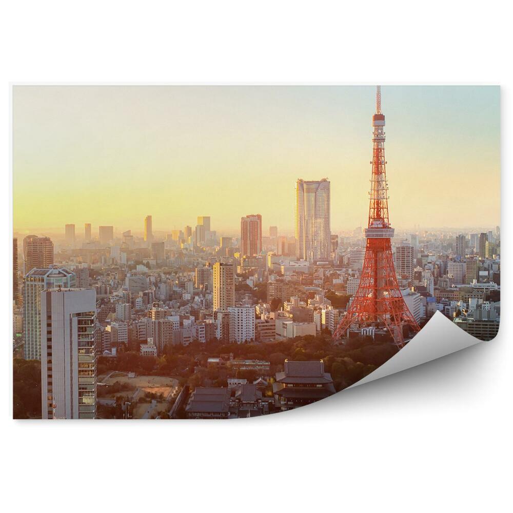 Papier peint Vue d'oiseau Tokyo Japon