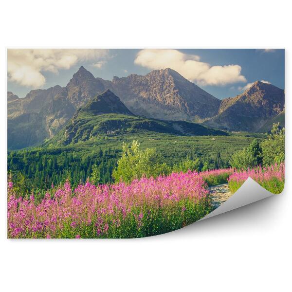 Papier peint Montagnes Des Tatras Montagnes Enterrées Arbres Verts Fleurs Plantes Chemin Ciel Nuages