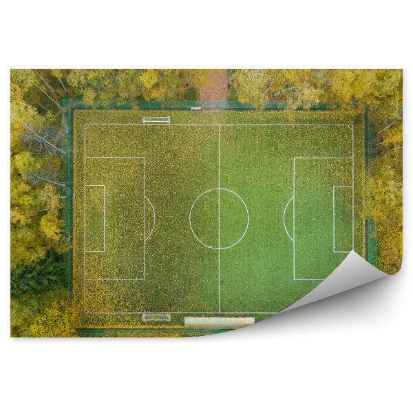 Papier peint Terrain de football vue de dessus