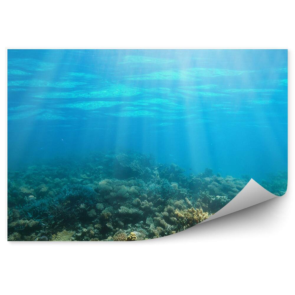 Papier peint Monde sous-marin Récif corallien ensoleillé