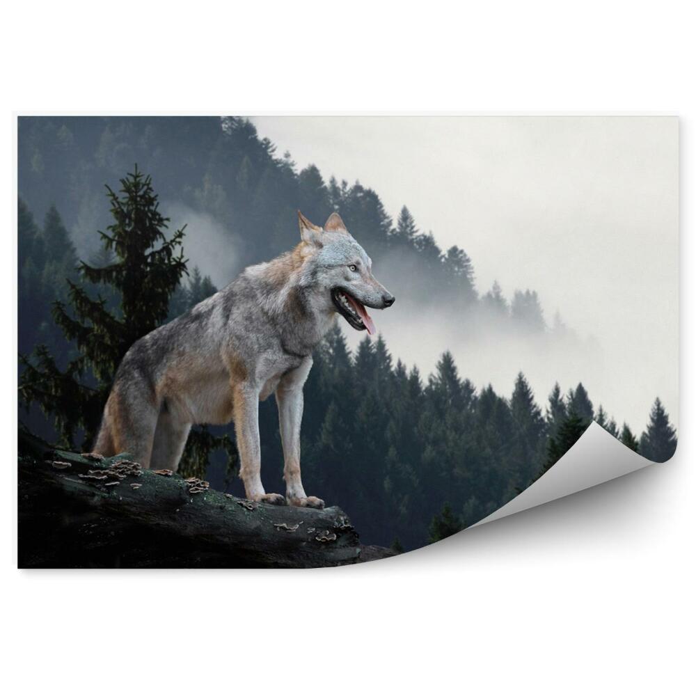 Papier peint panoramique Loup sur une pente