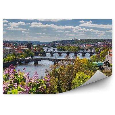 Papier peint Panorama de la ville Vue à vol d'oiseau Fleurs Arbustes