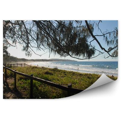 Papier peint Banc De Clôture De Plage Océan Gens Arbres Herbe