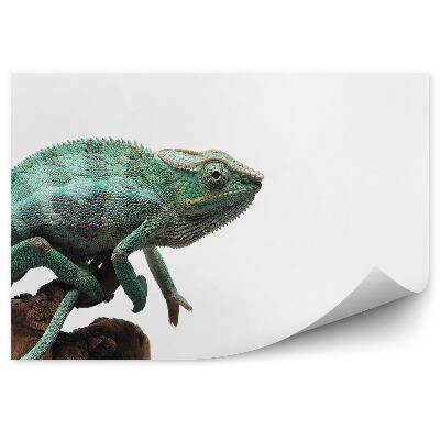 Papier peint Caméléon Bleu Sur Fond Blanc
