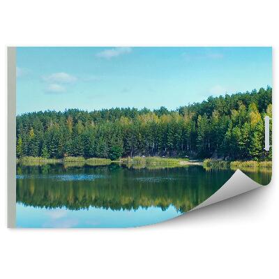 Papier peint Neige D'hiver Fenêtre En Bois Dans Un Chalet Avec Vue Sur Les Arbres De Noël