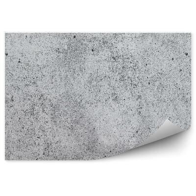 Papier peint Texture du béton frais