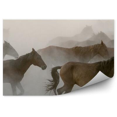Papier peint Troupeau De Chevaux Bruns Fumée Brouillard