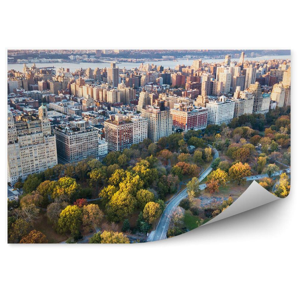 Papier peint Gratte-ciel Route Forêt Arbres Rivière New York