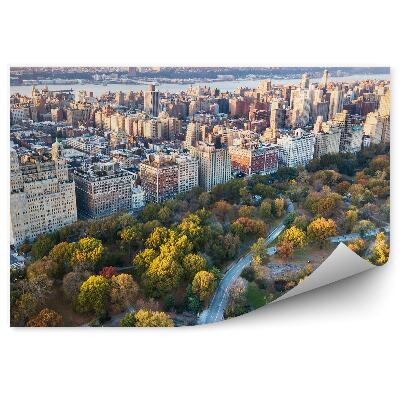 Papier peint Gratte-ciel Route Forêt Arbres Rivière New York