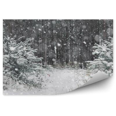 Papier peint Forêt D'hiver Ciel Étoiles