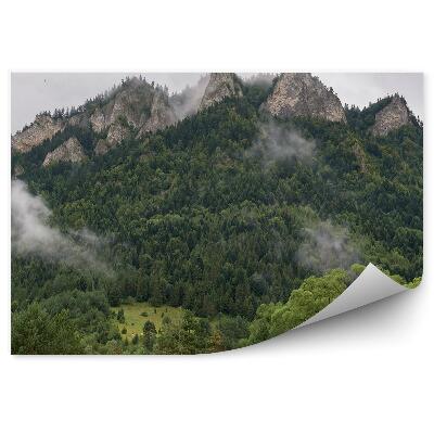 Papier peint Trzy Korony Dans Le Brouillard, Sommet Des Pieniny