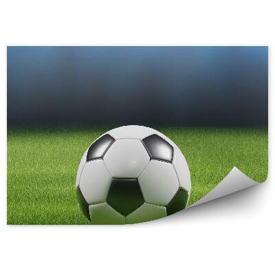 Papier peint Football turf gazon lumières