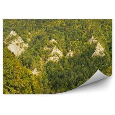 Papier peint Descente En Rafting Du Danube Dans Les Montagnes Forestières De Pieniny