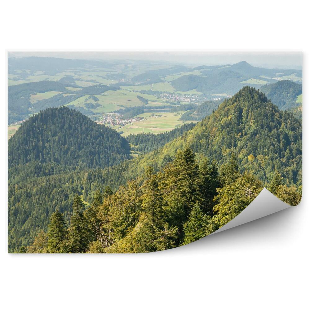 Papier peint Pointes Des Montagnes Des Pieniny Vertes