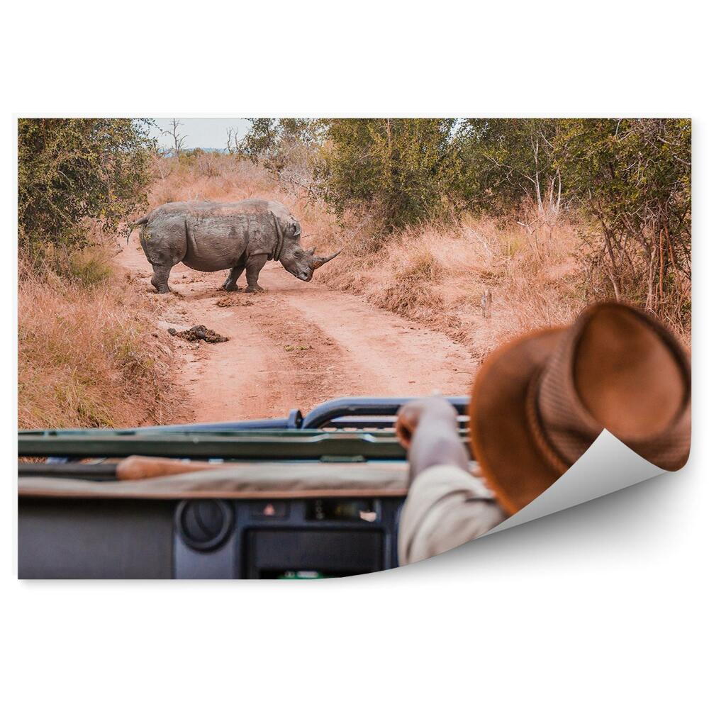 Papier peint Rhinocéros sur une route de safari Vue de la voiture