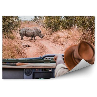 Papier peint Rhinocéros sur une route de safari Vue de la voiture