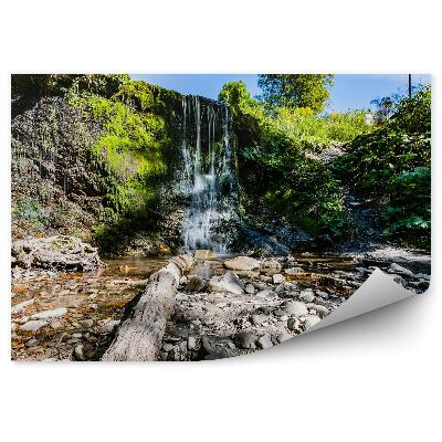 Papier peint Petite Cascade Végétation Rochers Bieszczady