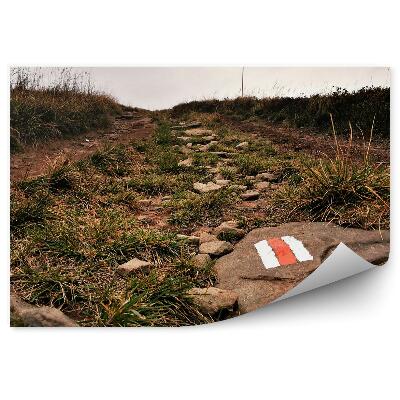 Papier peint Sentier De Montagne Herbes Verdoyantes