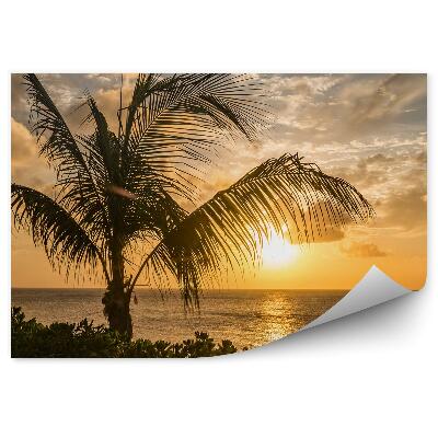 Papier peint Coucher de soleil sur l'horizon Plantes aquatiques