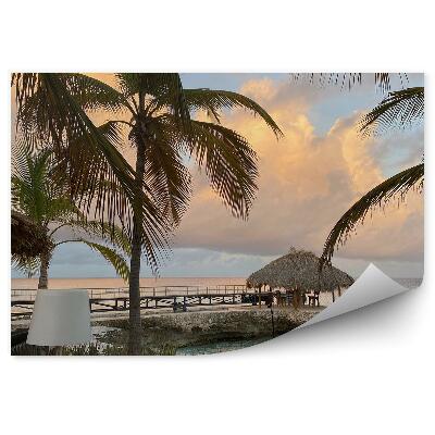 Papier peint Ciel nuageux Palmiers Café nature au bord de la mer