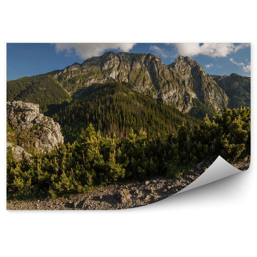 Papier peint Giewont Tatry Montagnes Arbres Conifères Roches Ciel Nuages