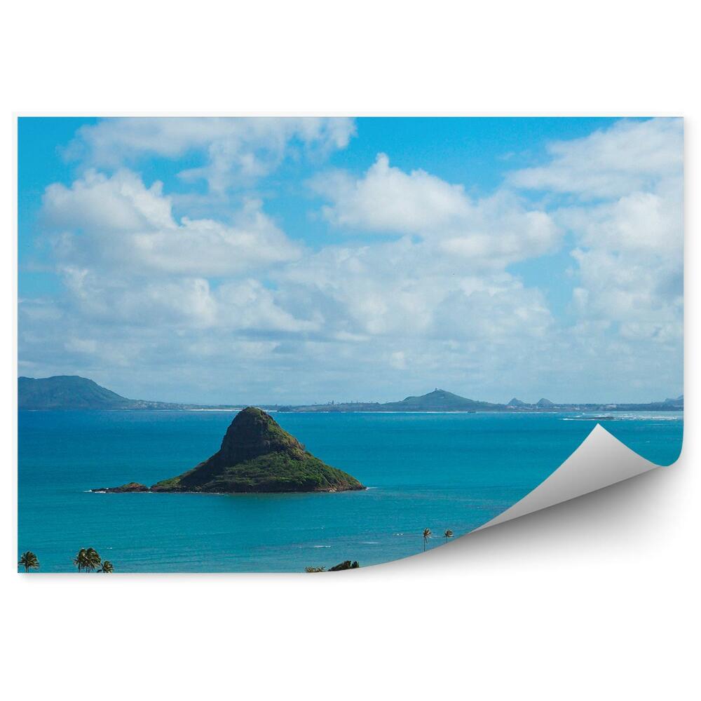 Papier peint plage hawaïenne plantes vertes eau bleue