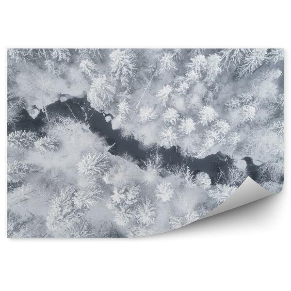 Papier peint Forêt D'hiver