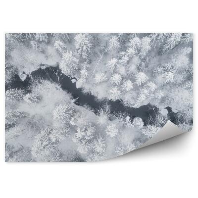 Papier peint Forêt D'hiver