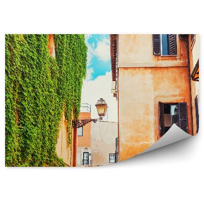 Papier peint nature lierre bâtiments architecture ville