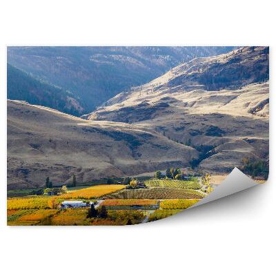 Papier peint Montagnes Champs Maisons