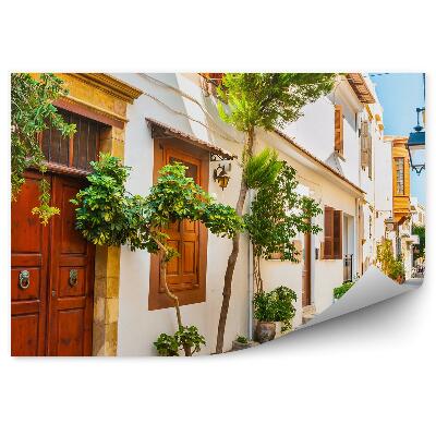 Papier peint Rue plantes blanc Grèce