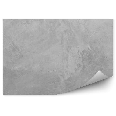 Papier peint Mur en béton gris