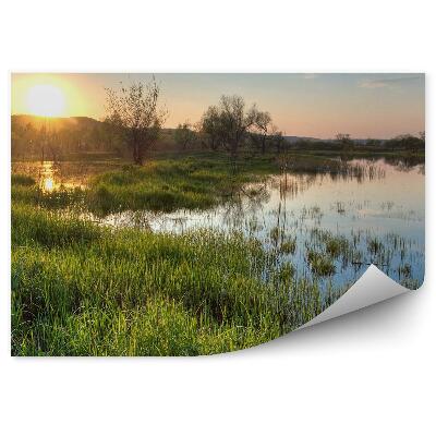 Papier peint Étang Arbres Plantes Herbes Coucher De Soleil Ciel Nuages